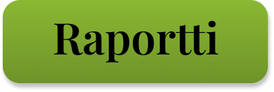 Raportti
